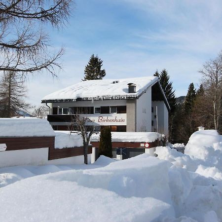 Apartment Am Birkenhain.24 Seefeld in Tirolu Zewnętrze zdjęcie